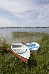 Österreich, Land Salzburg, Blick auf Boote im Schilf am Wallersee - WWF001521