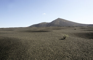 Spain, Lanzarote, View of lava stone landscape - JMF000076