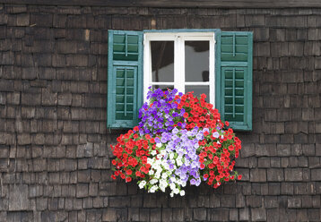 Österreich, Land Salzburg, Flachgau, Mattsee, Blumen am Fenster - WWF001549