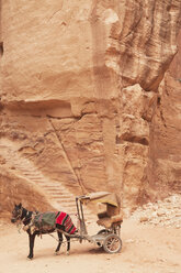 Jordanien, Petra, Blick auf Eselskarren am Tempel - NHF001230