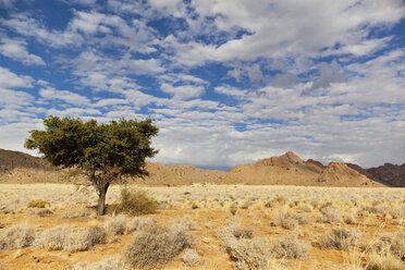 Afrika, Namibia, Namib-Wüste, Blick auf Landschaft in Gondwana mit Rand Park - FOF002350