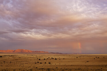 Afrika, Namibia, Namib-Wüste, Blick auf Regenbogen über Gondwana Sperrgebiet Rand Park in der Abenddämmerung - FOF002354