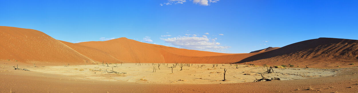 Afrika, Namibia, Namib Naukluft National Park, Blick auf totes Vlei in der Namib Wüste - FOF002370