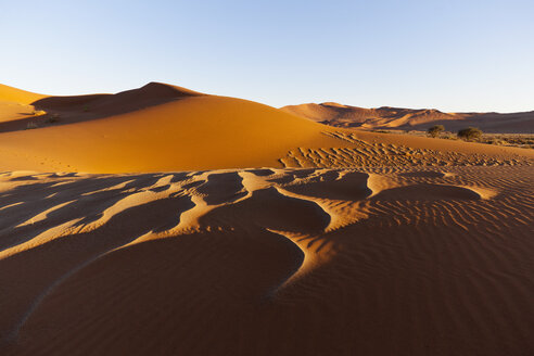 Afrika, Namibia, Namib Naukluft National Park, Blick auf Sanddünen in der Namibwüste - FOF002474