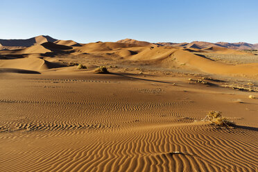 Africa, Namibia, Namib Naukluft National Park, View of sand dunes at the naravlei in the namib desert - FOF002479