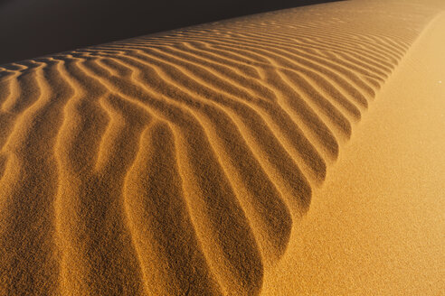 Afrika, Namibia, Namib Naukluft National Park, Blick auf Sanddünen am Naravlei in der Namibwüste - FOF002480