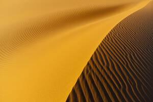 Afrika, Namibia, Namib Naukluft National Park, Blick auf Sanddünen am Naravlei in der Namibwüste - FOF002481