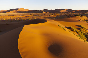 Afrika, Namibia, Namib Naukluft National Park, Blick auf Sanddünen am Naravlei in der Namibwüste - FOF002482