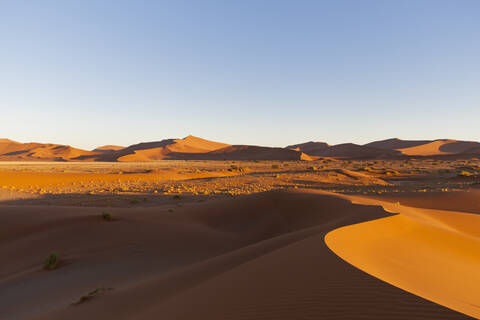 Afrika, Namibia, Namib Naukluft National Park, Blick auf Sanddünen am Naravlei in der Namibwüste, lizenzfreies Stockfoto