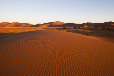 Afrika, Namibia, Namib Naukluft National Park, Blick auf Sanddünen am Naravlei in der Namibwüste - FOF002484
