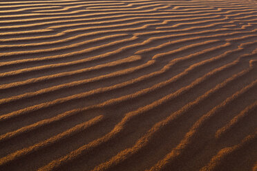 Africa, Namibia, Namib Naukluft National Park, View of sand in the namib desert - FOF002485