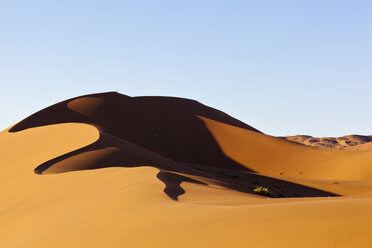 Afrika, Namibia, Namib Naukluft National Park, Blick auf Sanddünen in der Namibwüste - FOF002433