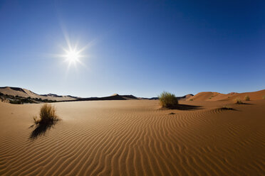 Afrika, Namibia, Namib Naukluft National Park, Blick auf Sanddünen am Naravlei in der Namibwüste - FOF002439