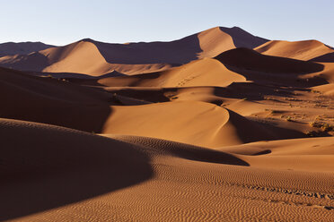 Afrika, Namibia, Namib Naukluft National Park, Blick auf Sanddünen am Naravlei in der Namibwüste - FOF002442