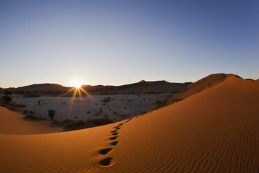 Afrika, Namibia, Namib Naukluft National Park, Blick auf Sanddünen am Naravlei in der Namibwüste - FOF002446