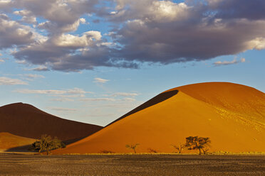 Afrika, Namibia, Namib-Wüste, Blick auf Sanddünen im Namib-Naukluft-Nationalpark - FOF002375