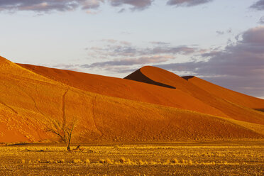 Afrika, Namibia, Namib-Wüste, Blick auf Sanddünen im Namib-Naukluft-Nationalpark - FOF002376