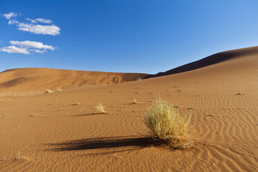 Afrika, Namibia, Namib-Wüste, Blick auf Sanddünen im Namib-Naukluft-Nationalpark - FOF002379