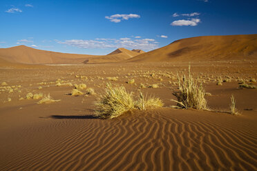 Afrika, Namibia, Namib-Wüste, Blick auf Sanddünen im Namib-Naukluft-Nationalpark - FOF002380