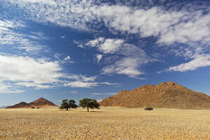 Afrika, Namibia, Namib-Wüste, Blick auf Namib Rand - FOF002385