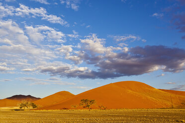 Afrika, Namibia, Namib-Wüste, Blick auf Sanddünen und Kameldornbaum im Namib-Naukluft-Nationalpark - FOF002393