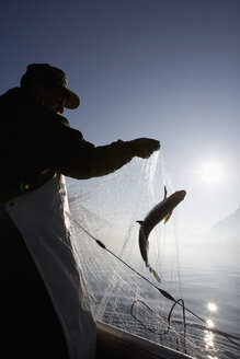Österreich, Mondsee, Fischer fängt einen Fisch im Fischernetz - WWF001683