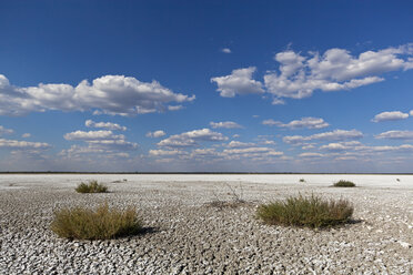 Africa, Namibia, View of etosha dry pan in etosha national park - FOF002524