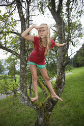 Austria, Mondsee, Girl (12-13 Years) on a tree, looking away - WWF001632
