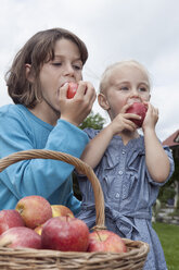 Germany, Munich, Girl (2-3 Years) and boy (10-11 Years ) eating apples - RBF000320