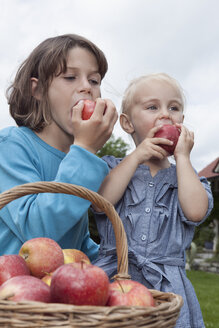 Deutschland, München, Mädchen (2-3 Jahre) und Junge (10-11 Jahre) essen Äpfel - RBF000320