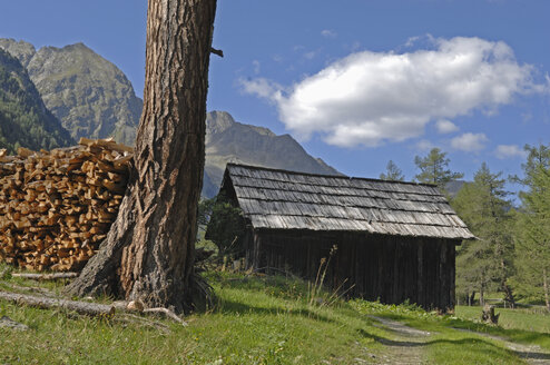 Österreich, Lungau, Liegnitztal, Brennholzstapel im Wald mit Hütte und Bergen im Hintergrund - ASF004230