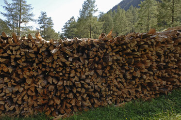 Österreich, Lungau, Liegnitztal, Brennholzstapel im Wald - ASF004232