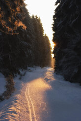 Deutschland, Braunlage, Straße mit Tannenwald im Winter - HKF000343