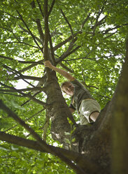 Germany, Vechelde, Boy standing on tree branch - HKF000345