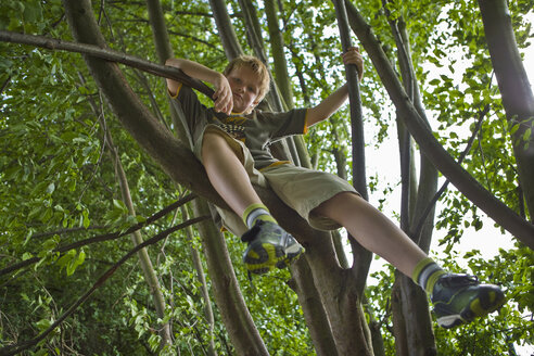Germany, Vechelde, Boy sitting on tree branch - HKF000346
