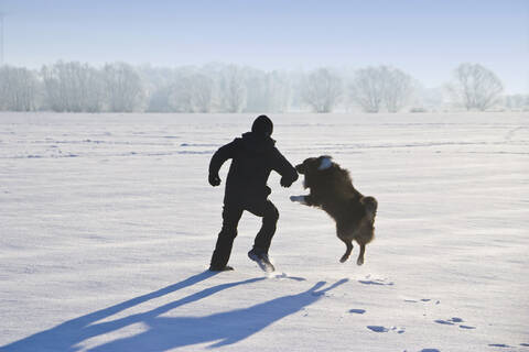 Deutschland, Vechelde, Junge spielt mit australischem Schäferhund im Schnee, lizenzfreies Stockfoto