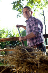 Germany, Saxony, Mature man working at the farm - MBF001045