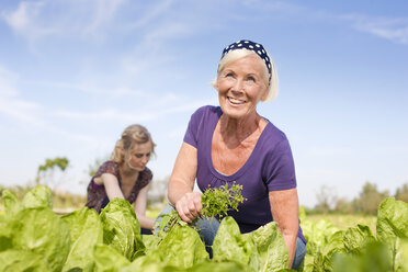 Germany, Saxony, Women working at the farm - MBF001112