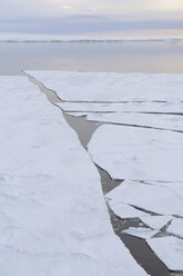 Antarktische Halbinsel, Antarktis, Blick auf eine Eisscholle im Weddellmeer - RUEF000511