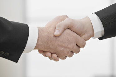 Businessmen shaking hands, close up - WBF000519