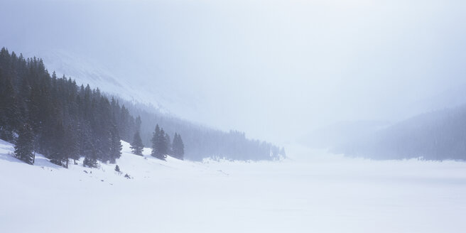 Kanada, Britisch-Kolumbien, Blick auf die Landschaft im Winter - WBF000205