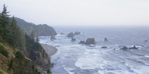 USA, Oregon, Blick auf Wald an Klippe - WBF000219