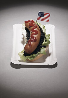 American flag on hot dog in plate, close up - WBF000314