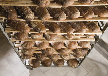 Breads on a cooling rack - WBF000297