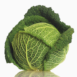 Green cabbage on white background - WBF000300