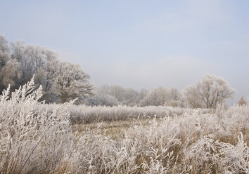 Deutschland, Bayern, Blick auf Winterlandschaft - WBF000362