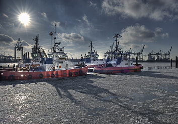 Germany, Hamburg, View of tugs moored at harbour on frozen water - WBF000415