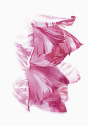 788 Pink Pics Com Stock Photos - Free & Royalty-Free Stock Photos from  Dreamstime