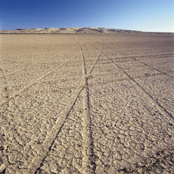 USA, California, View of tyre tracks on desert - WBF000427