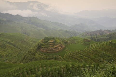 China, Loncheng, View of terraced rice field stock photo